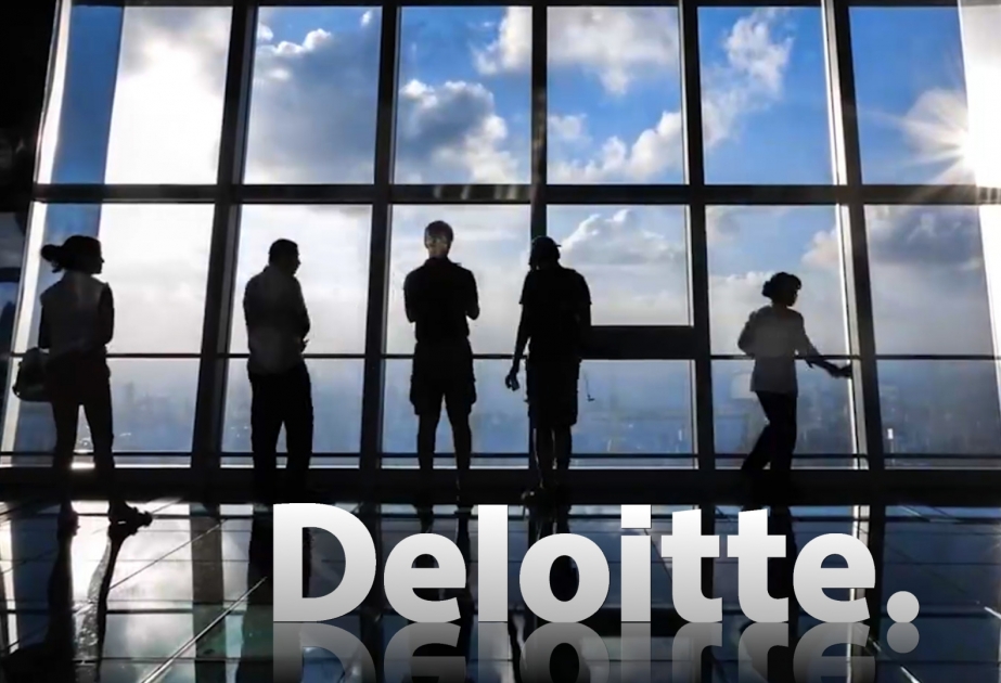 Аналитики Deloitte обозначили основные киберугрозы для электроэнергетики