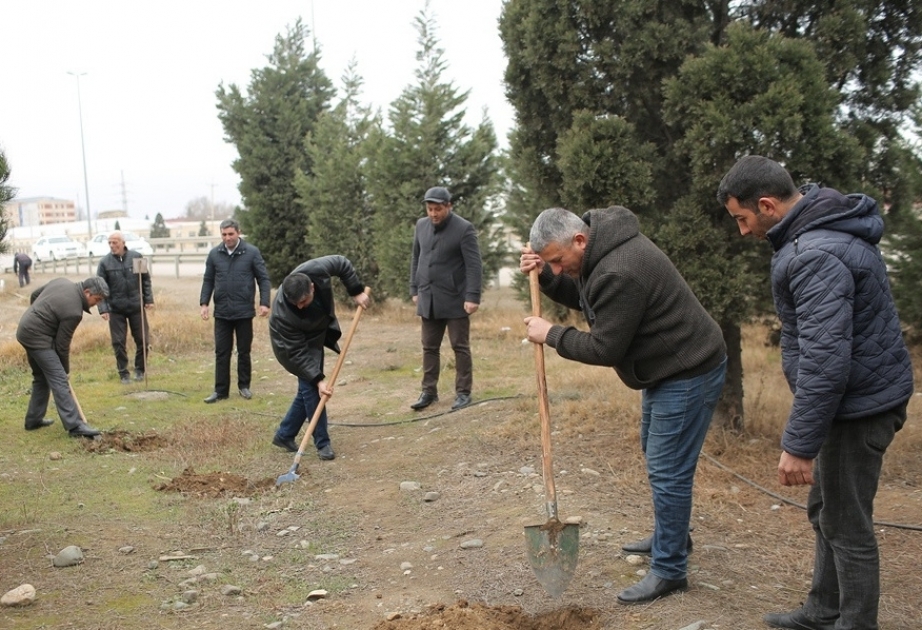 Gəncədə ümumşəhər iməciliyi keçirilib