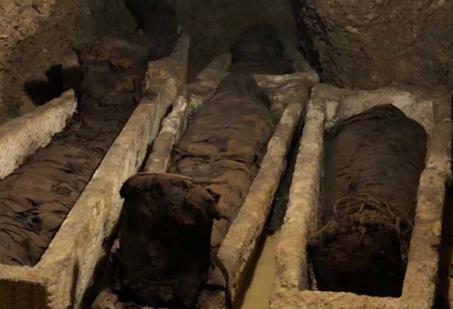 Misirdə içərisində 40 mumiya olan nekropol aşkarlanıb