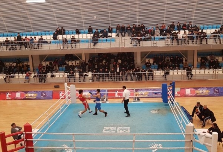 Boks üzrə Azərbaycan millisi Nalçikdə yoxlama görüşləri keçirəcək