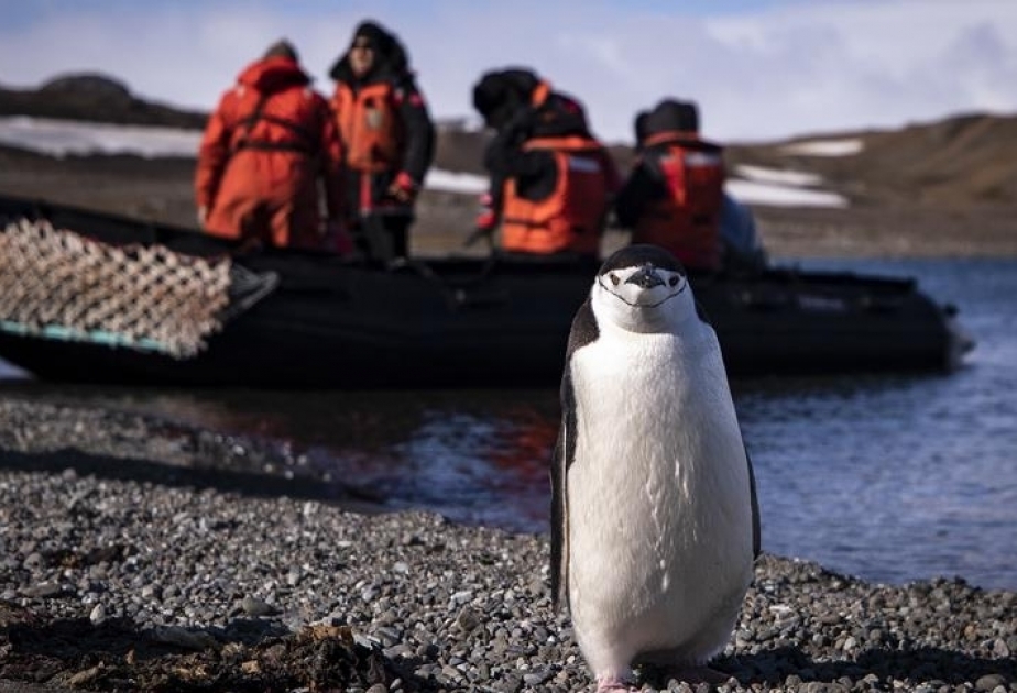 Turkish team arrives in Antarctica for polar research