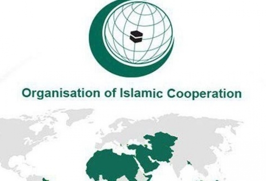 انطلاق مهرجان منظمة التعاون الإسلامي في القاهرة