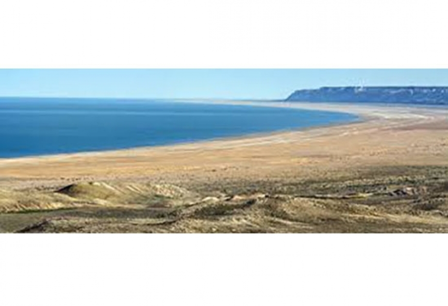 Aral dənizinin quruyan hissəsində şirin su mənbələri tapılıb