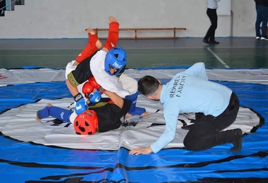 Alpaqut Turan döyüş sənəti üzrə açıq Şəmkir turniri başa çatıb