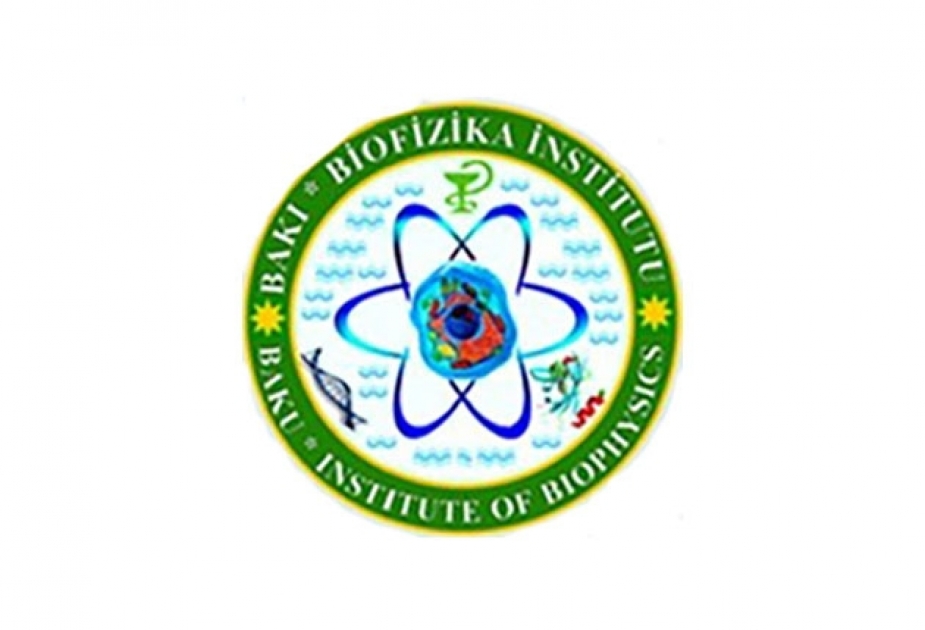 “SABAH” qrupunun tələbələri Biofizika İnstitutunda təcrübə keçəcəklər