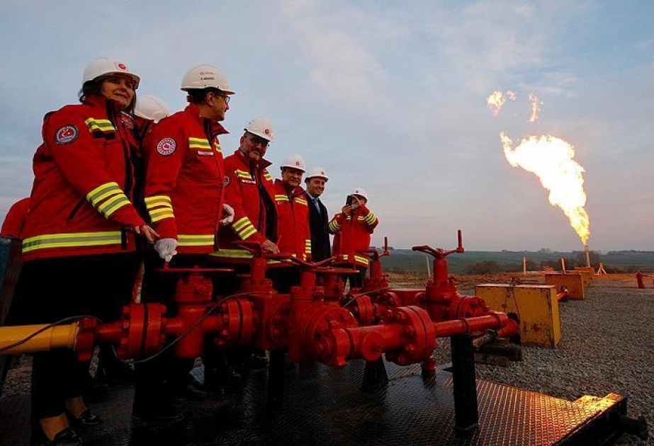 Турецкая TPAO наращивает объемы добычи нефти и газа