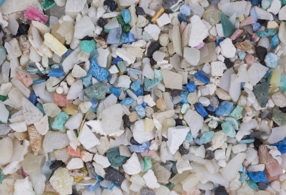 Microplastics found in the sea carry toxic bugs which poison humans, fish and the environment, study shows