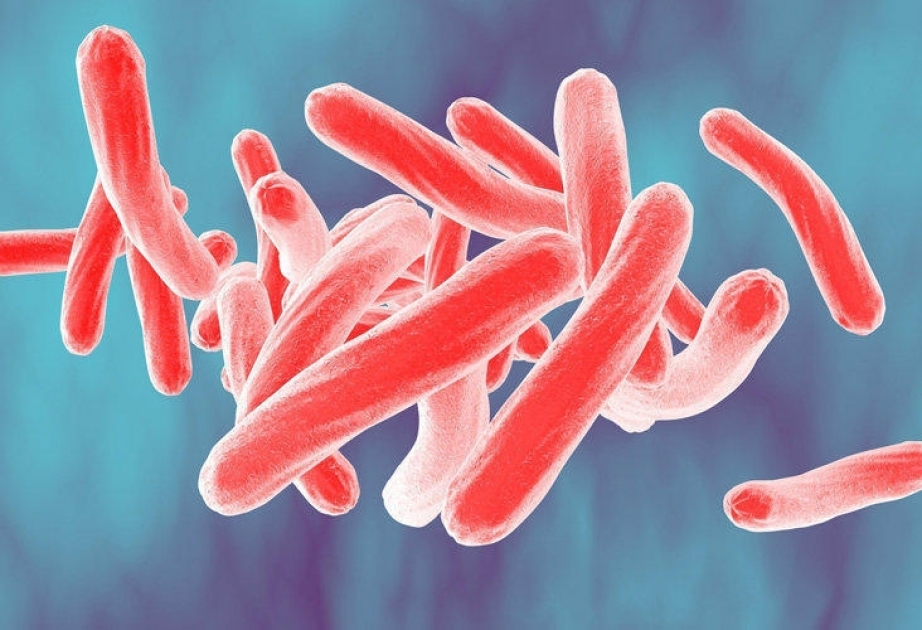Найден быстродействующий антибиотик против туберкулеза