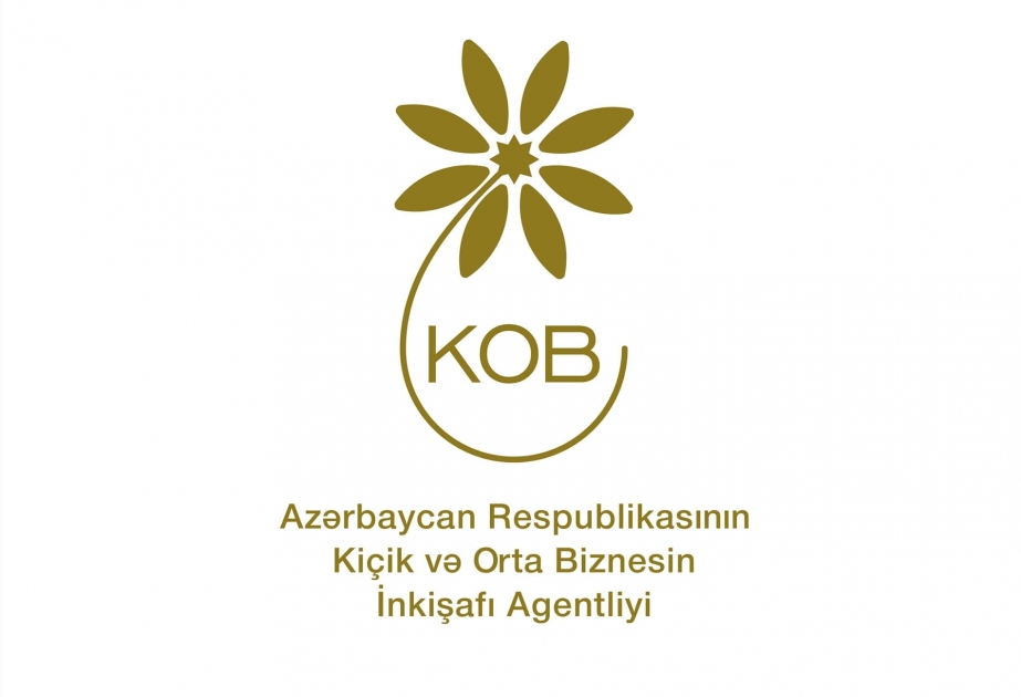 Расширяются международные отношения Агентства по развитию малого и среднего бизнеса Азербайджана
