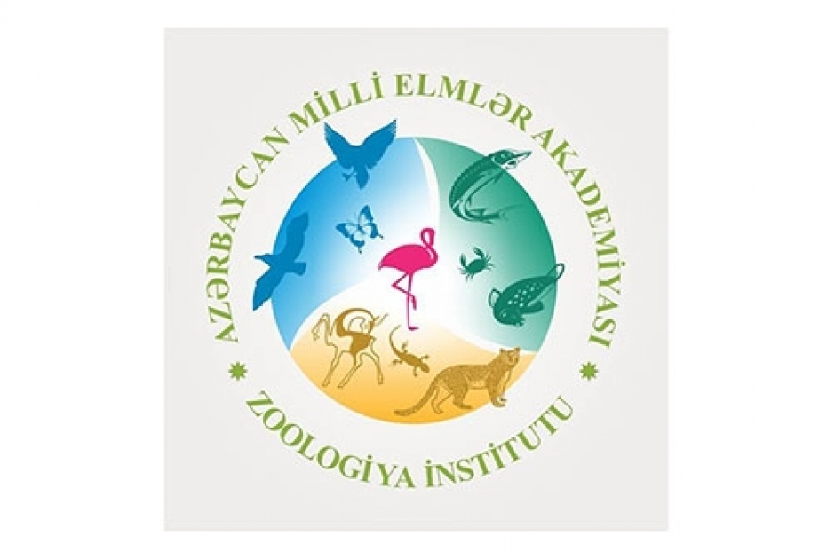 Zoologiya İnstitutu vakansiya elan edir