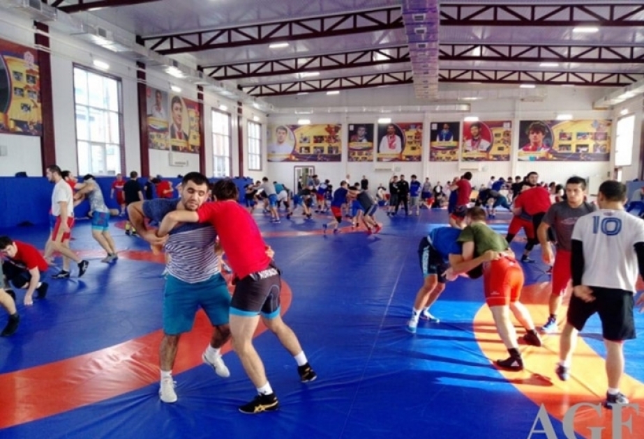 Azerbaijani freestyle wrestlers embark on training camp in Kislovodsk