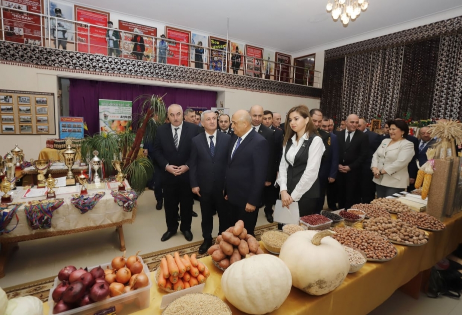 Qusarda son üç ildə 3 min 238 hektar yeni fındıq bağları əkilib
