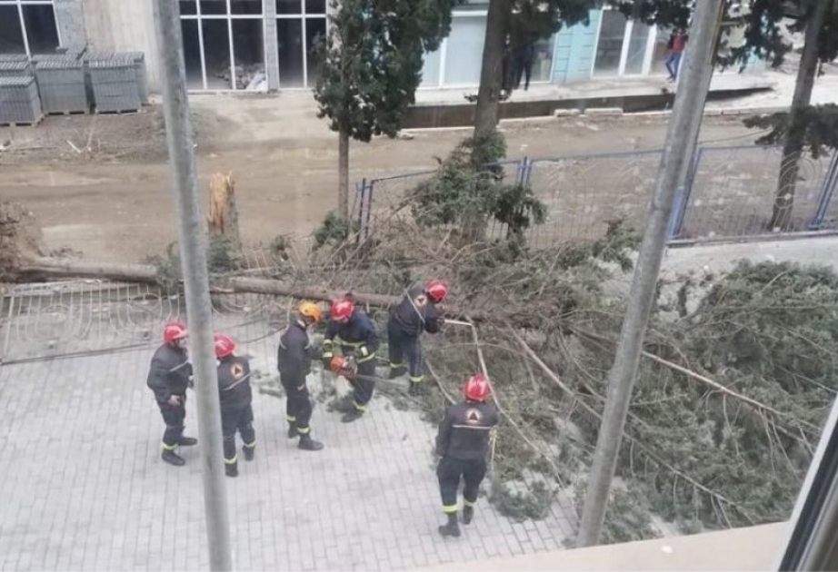 Güclü külək və qasırğa Gürcüstanda 60-dan çox evin damını uçurub