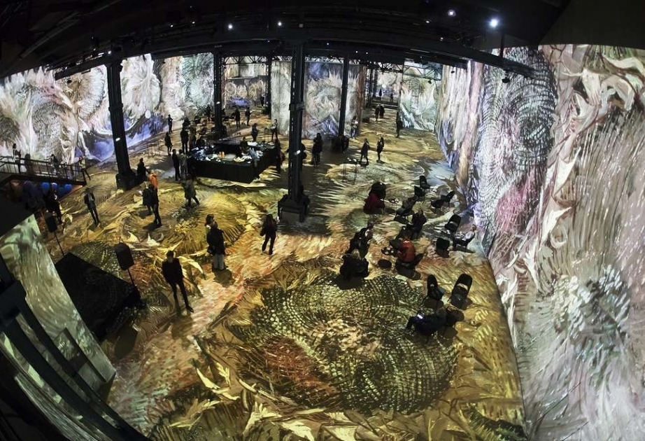 Visitors immerse in Vincent Van Gogh's paintings in Paris
