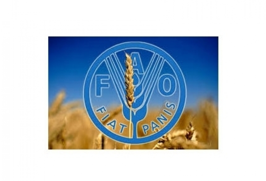 FAO: Heyvan və bitki növlərinin sürətlə yoxa çıxması gələcəkdə ərzaq qıtlığına gətirib çıxaracaq