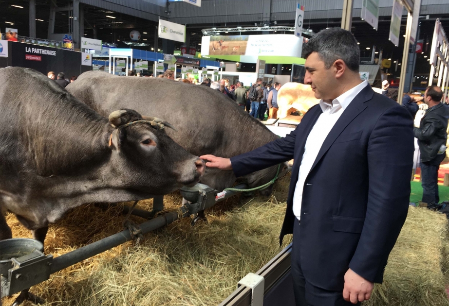 L’Azerbaïdjan présent à la 56e édition du Salon international de l’agriculture à Paris
