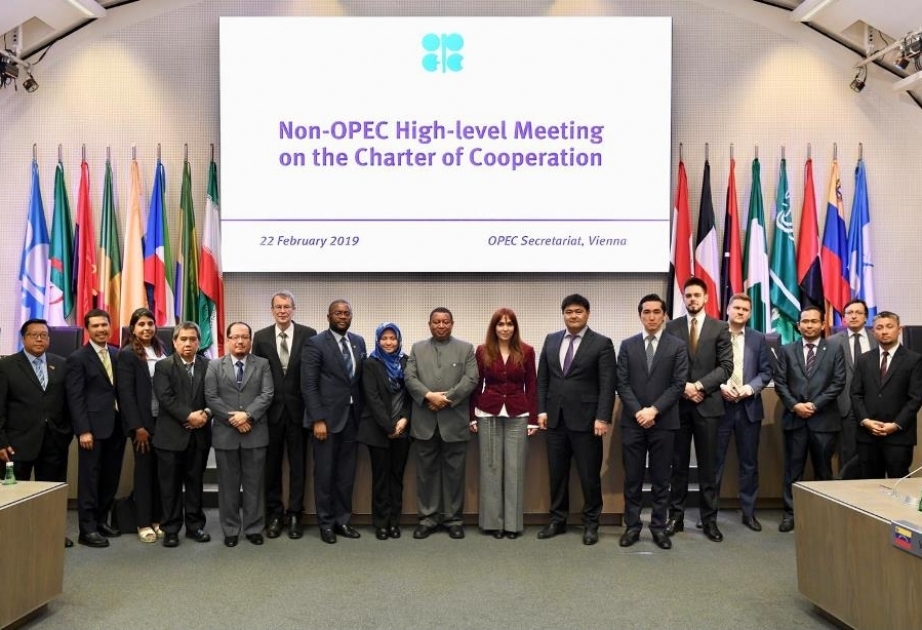 OPEC countries discuss Cooperation Charter