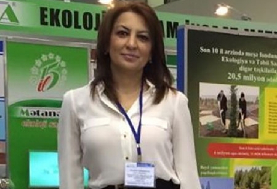 Meyvə ağaclarının yaxşı inkişaf etməsi üçün gövdələrinin əhənglə rənglənməsi tövsiyə olunur