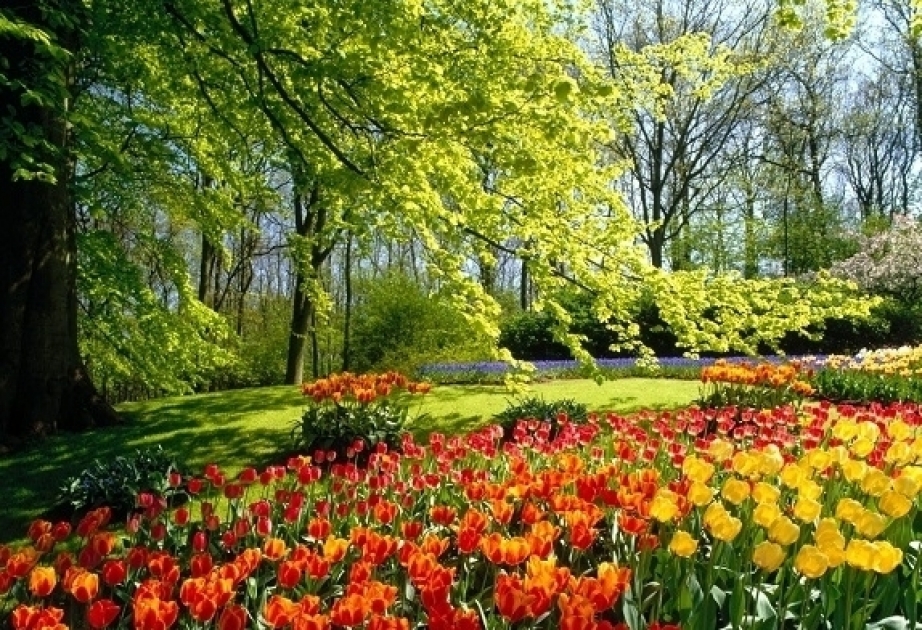 Der Frühling kommt in Aserbaidschan am 21. März um 01:58