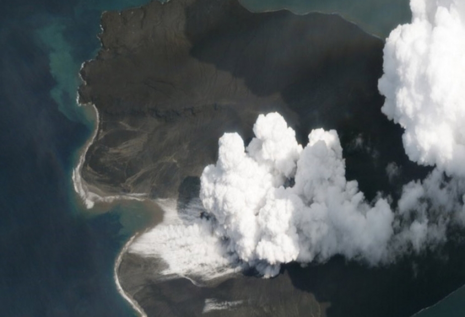 In Neuseeland wüten schwerste Brände seit mehr als 60 Jahren