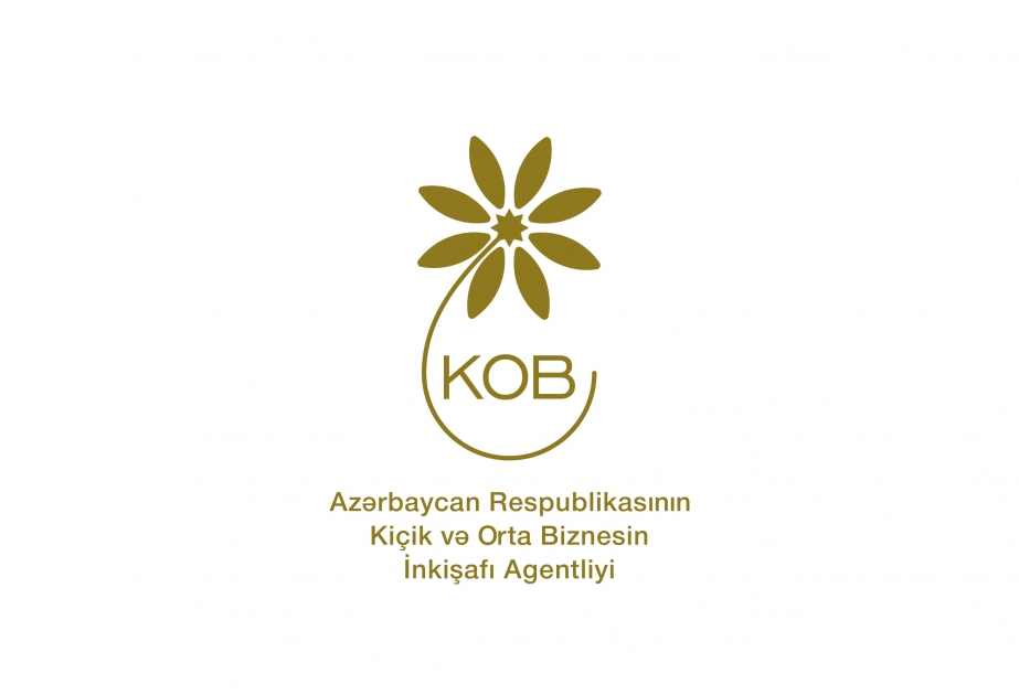 Sahibkarlar üçün növbəti onlayn təlim keçiriləcək