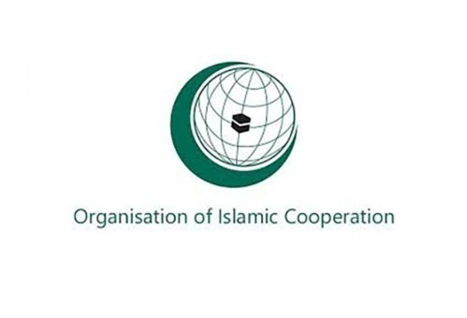 伊斯兰合作组织外交部长委员会第46次会议将在阿布扎比举行