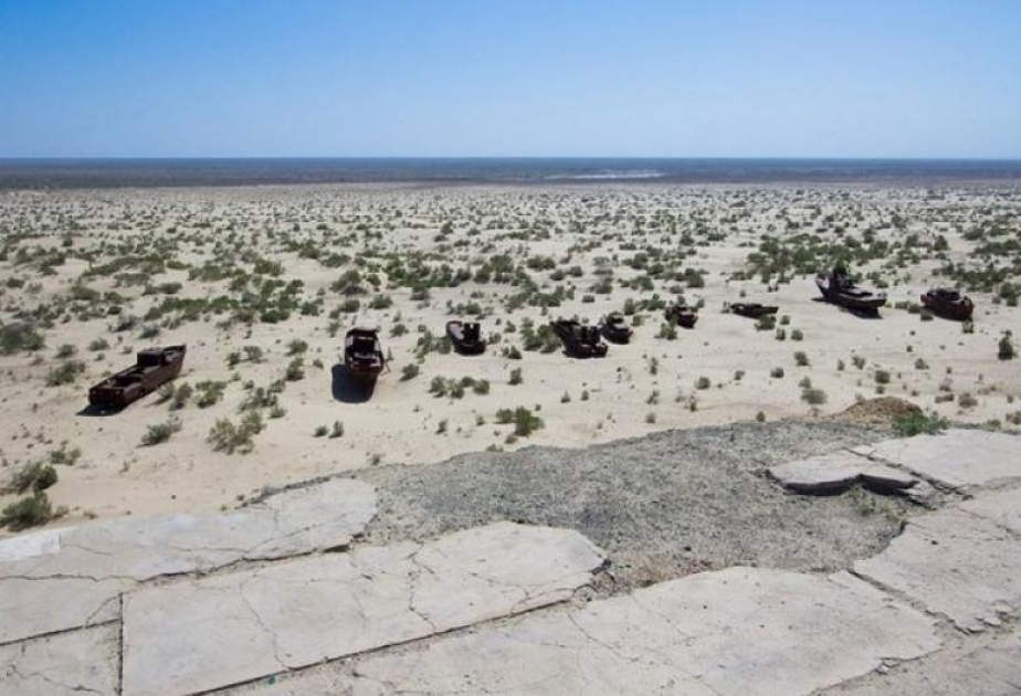 Aral dənizinin qurudulmuş dibində meşə əmələ gəlib