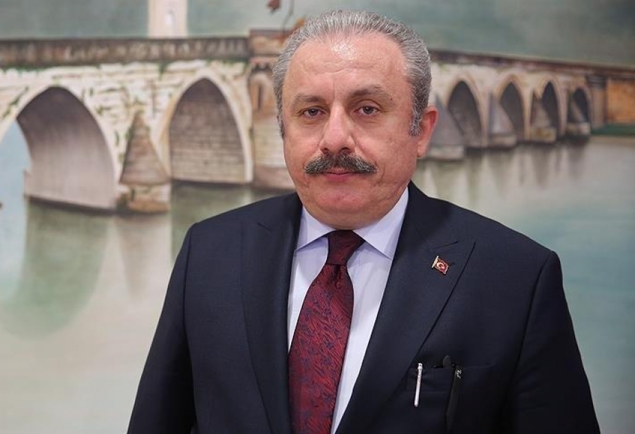 Mustafa Şentop: Azərbaycanın problemləri Türkiyənin problemidir