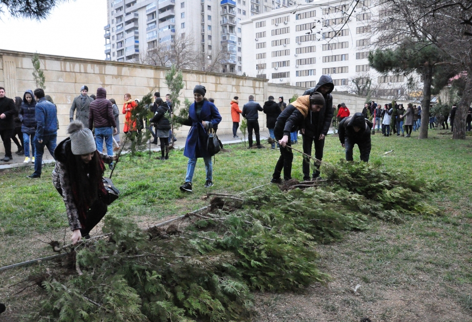 Bakı Dövlət Universitetinin 100 illiyinə 100 ağac əkilib