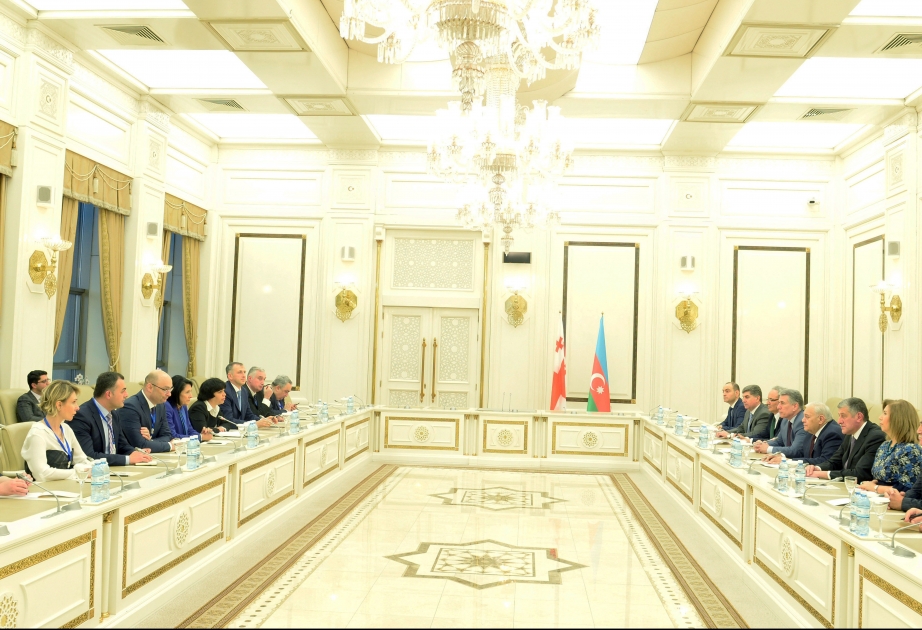 Gürcüstan Prezidenti: Regionda ilk səfərimi Azərbaycana etdiyimə görə çox şadam
