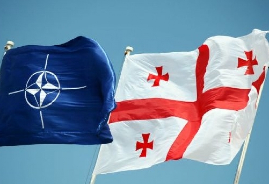 NATO-nun baş katibi Gürcüstana səfər edəcək