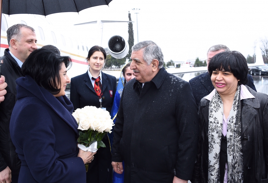 Gürcüstan Prezidenti Salome Zurabişvili Qax rayonuna gəlib