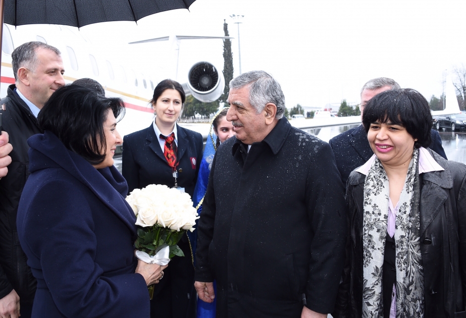 Salomé Zurabishvili permanece en el distrito Gaj