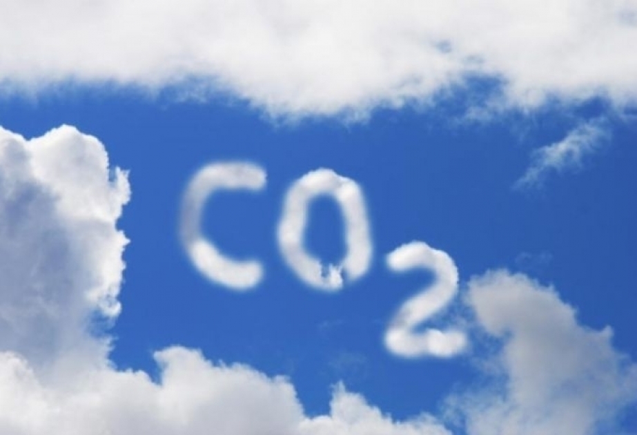 Scientists turn CO2 ‘back into coal’ in breakthrough carbon capture experiment