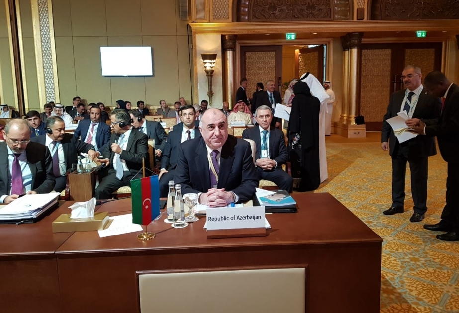 FM: Azerbaijan is still facing continuous military aggression by Armenia