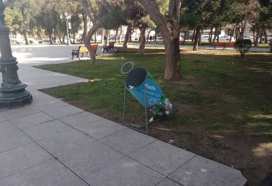 Plastik tullantılar və onların ətraf mühitə mənfi təsiri