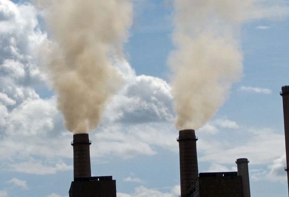 От загрязнения воздуха каждый год умирают 7 миллионов человек