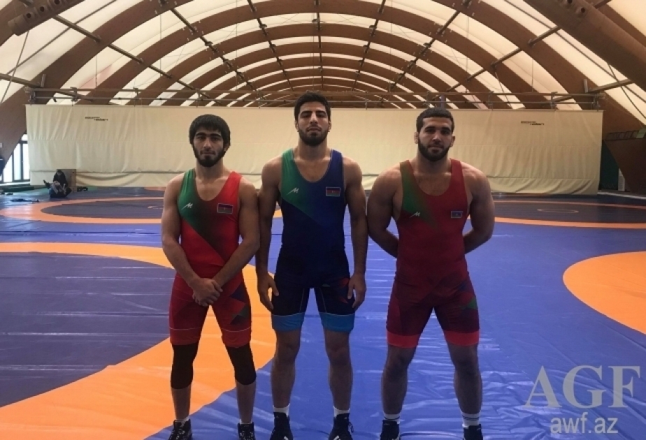 Trois lutteurs azerbaïdjanais disputent les Championnats d'Europe séniors des moins de 23 ans