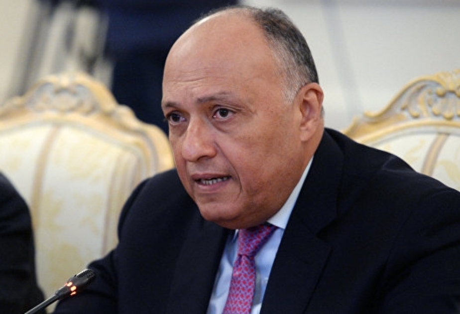 Глава МИД Египта призвал к возобновлению серьезных и справедливых переговоров по Сирии