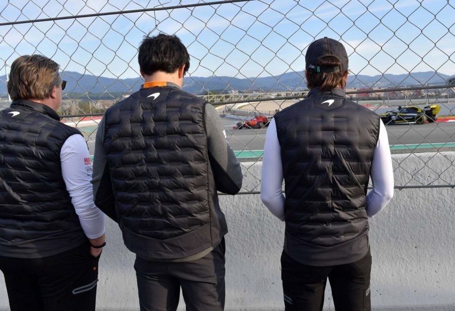 Alonso wird den McLaren MCL34 im Laufe der Saison selber testen