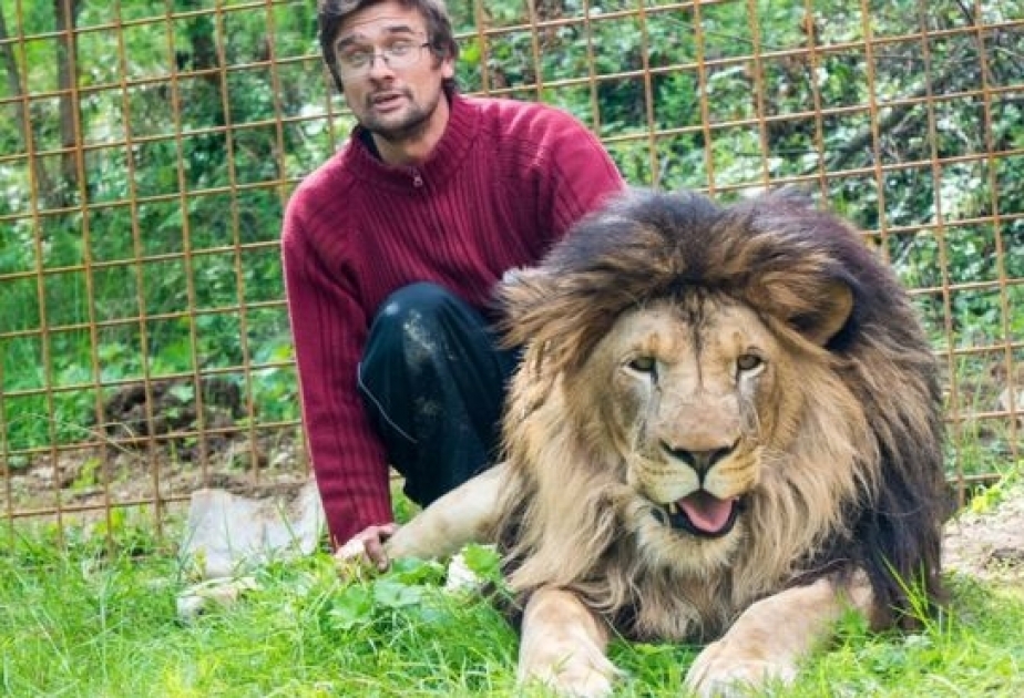 В Чехии лев загрыз своего хозяина