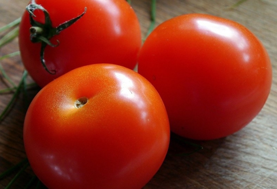 Descubre qué pasa con tu organismo si comes tomates