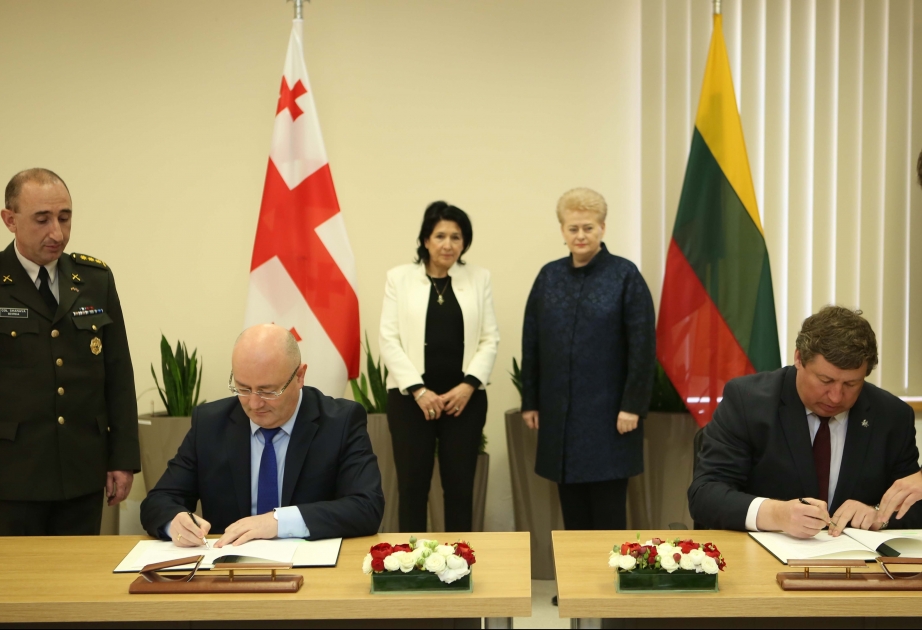 Gürcüstan və Litva kibercinayətkarlığa qarşı birgə mübarizə aparacaqlar