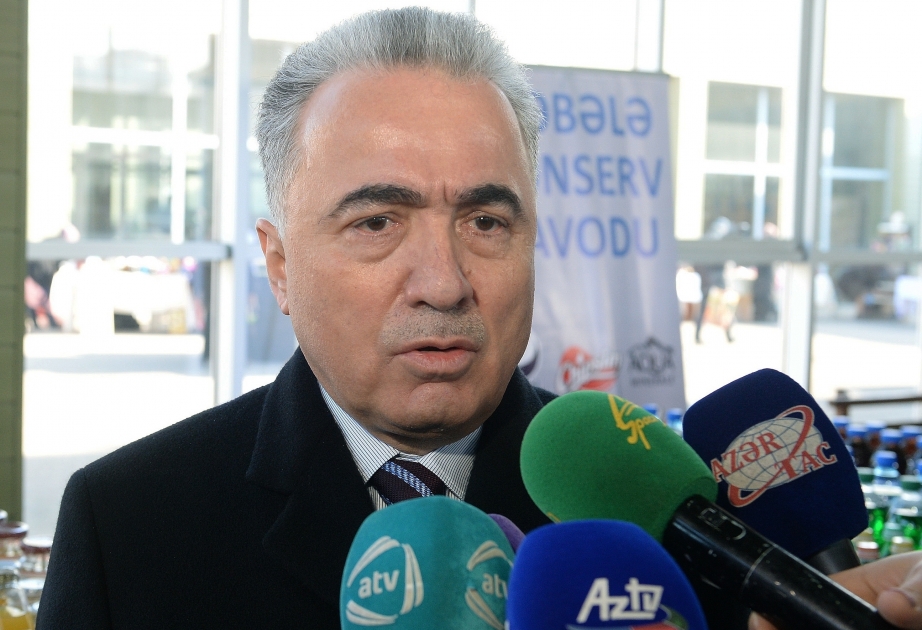 Зейнал Нагдалиев: В абсолютном большинстве представленных Президенту в Шамахе и Агсу письмах содержатся просьбы о новых домах ВИДЕО