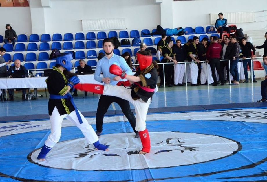 Alpaqut Turan döyüş sənəti üzrə V Azərbaycan çempionatının qalibləri müəyyənləşib