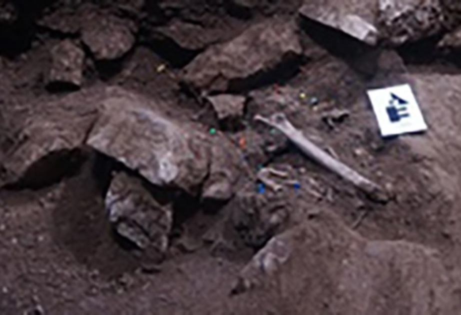 В испанской Таррагоне найдено 3000-летнее массовое захоронение