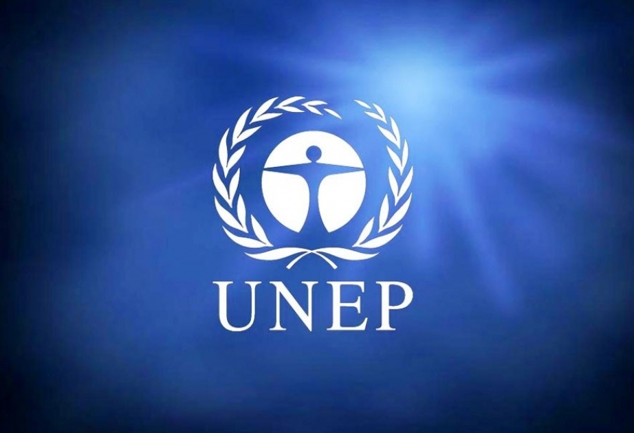 UNEP-in 2018-ci il üçün ənənəvi məruzəsi dərc edilib