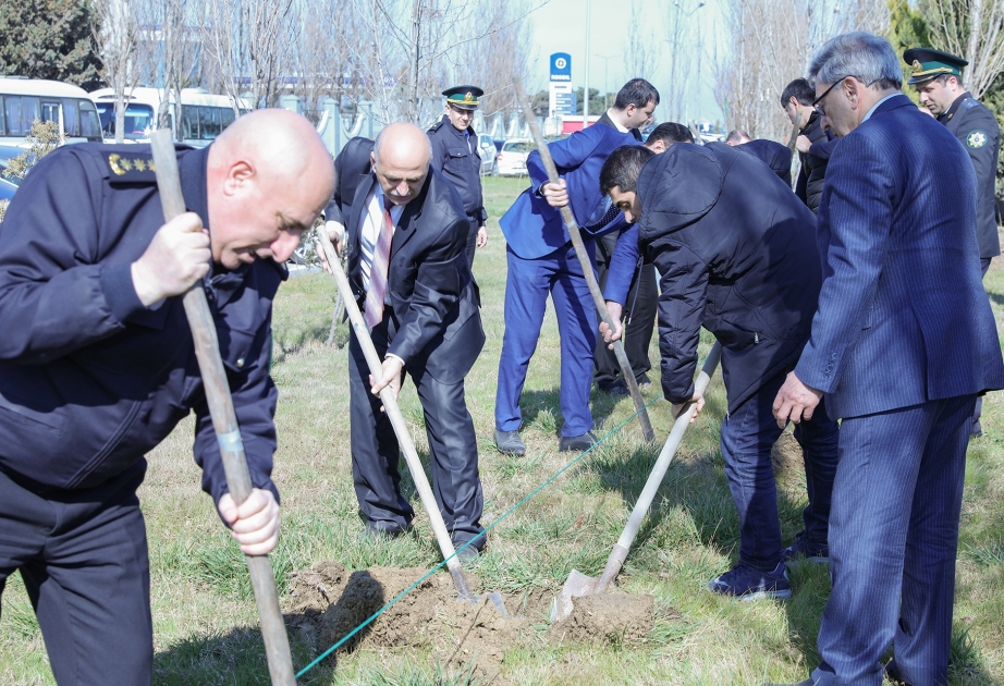 Dövlət Gömrük Komitəsinin Akademiyasında Novruz bayramı ilə əlaqədar ağacəkmə aksiyası keçirilib