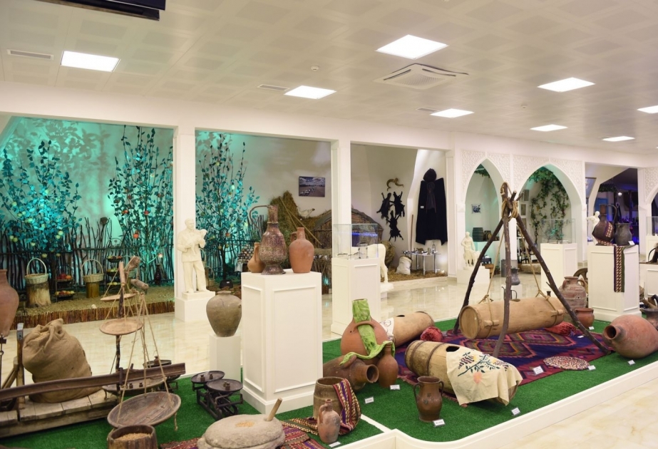 The best free museums of Baku: Nobel, dinosaurs and agriculture