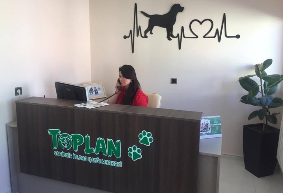 “Toplan” Sahibsiz İtlərə Qayğı Mərkəzi humanist hisslər aşılayır